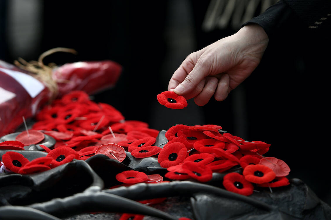 Remembrance poppies to be made entirely from paper in future, Remembrance  Day