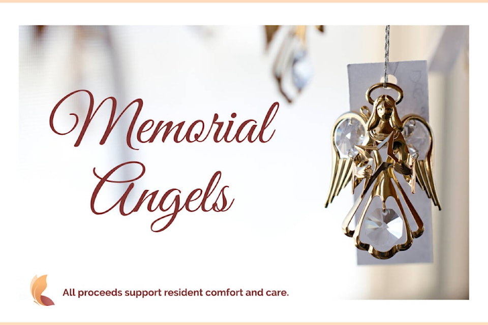 31040768_web1_221117-RDA-Hospice-Launches-angel-fundraiser-_1