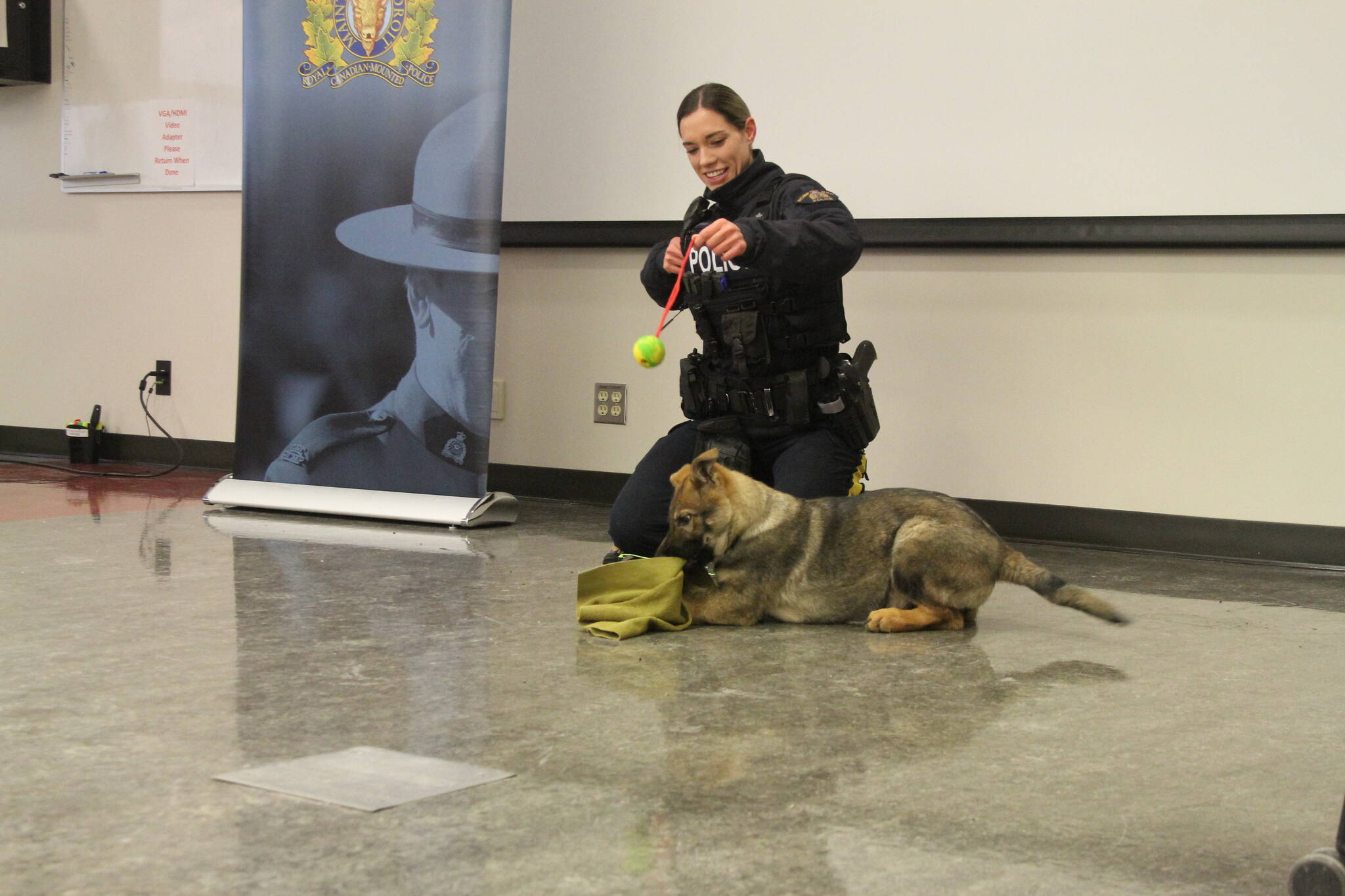 31308950_web1_221214-RDA-red-deer-rcmp-dogs-dogs_3