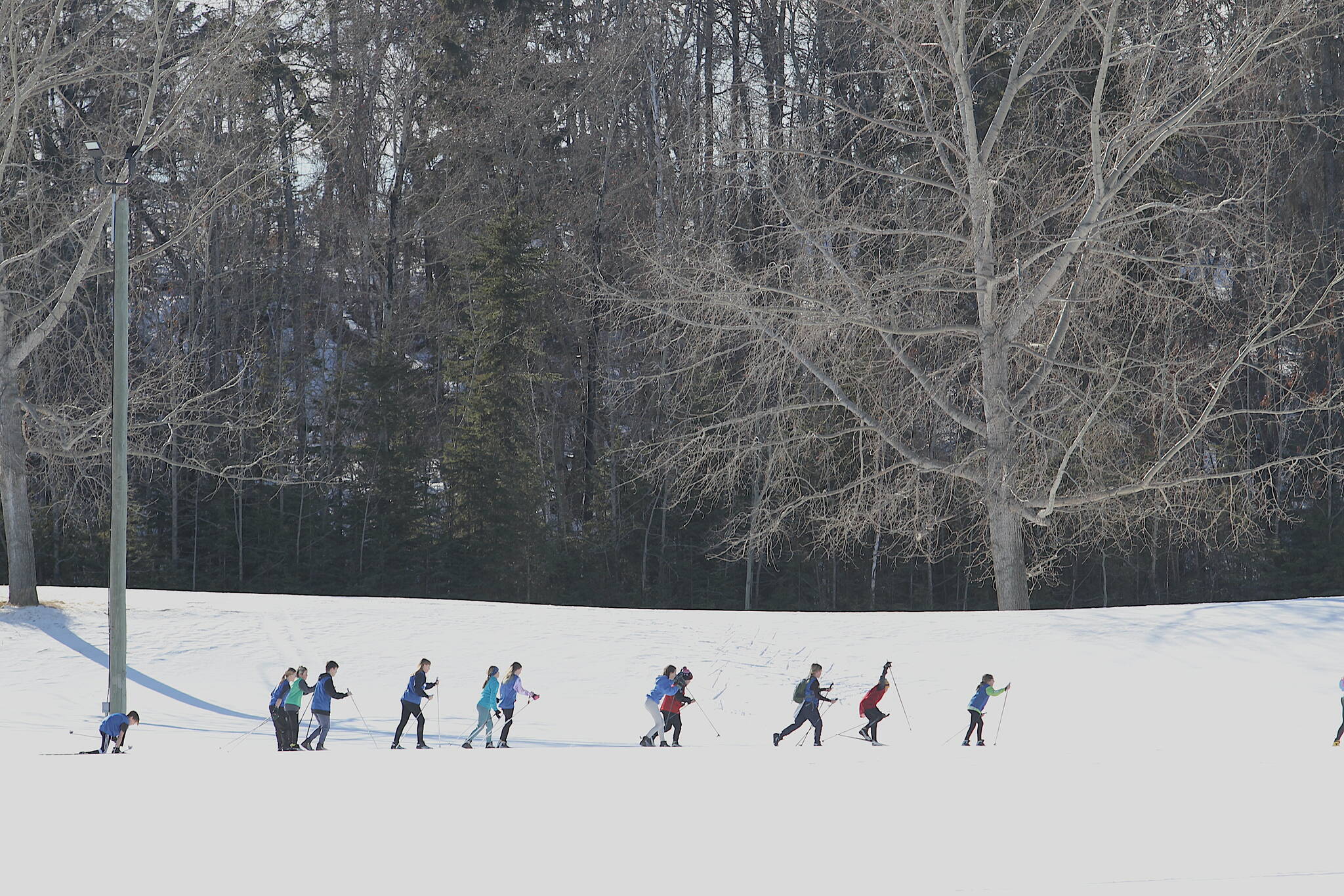 31789884_web1_230207-RDA-ski-loppet-red-deer-skiing_1