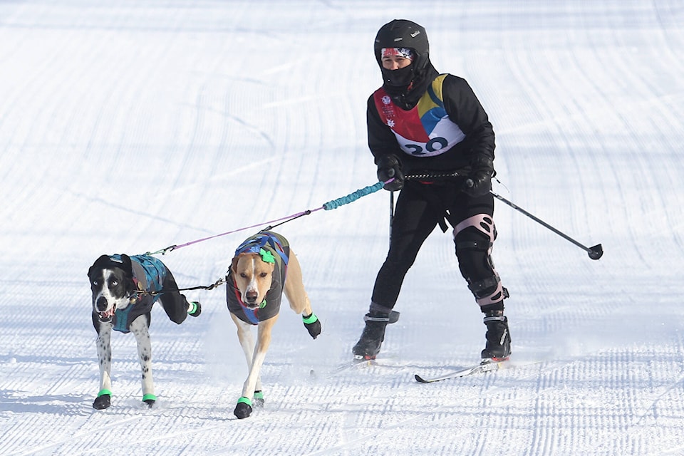 31972630_web1_230226-RDA-skijoring