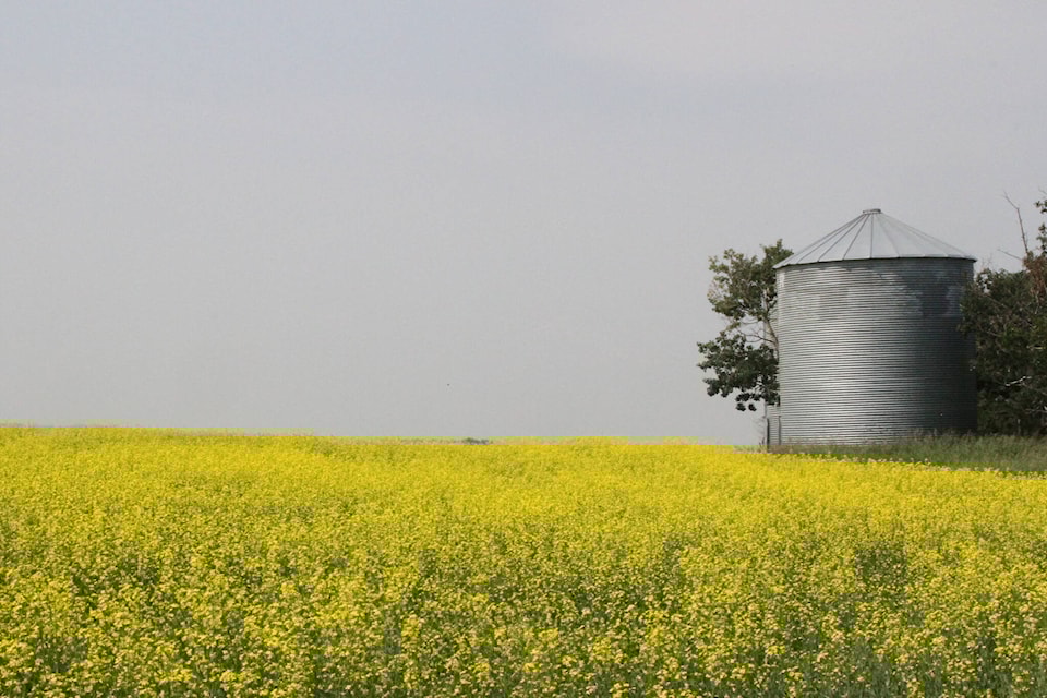33244906_web1_230707-rda-crop-update-crops_2
