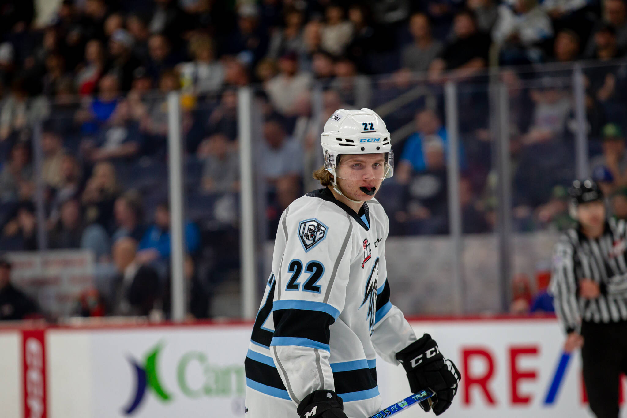 Rebels Carson Latimer brings valuable playoff experience Red