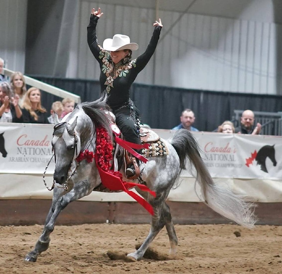 33575784_web1_230811-RDA-arabian-horse-show-horse_1