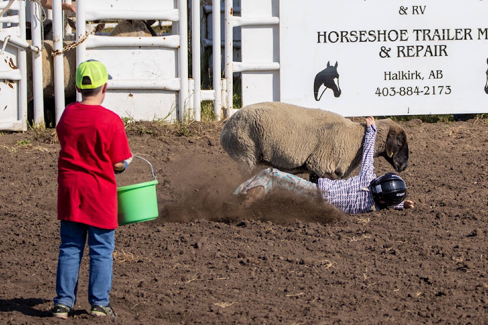 Before the main event started, kid’s events, including mutton bustin’ took place. (Kevin Sabo/Castor Advance)