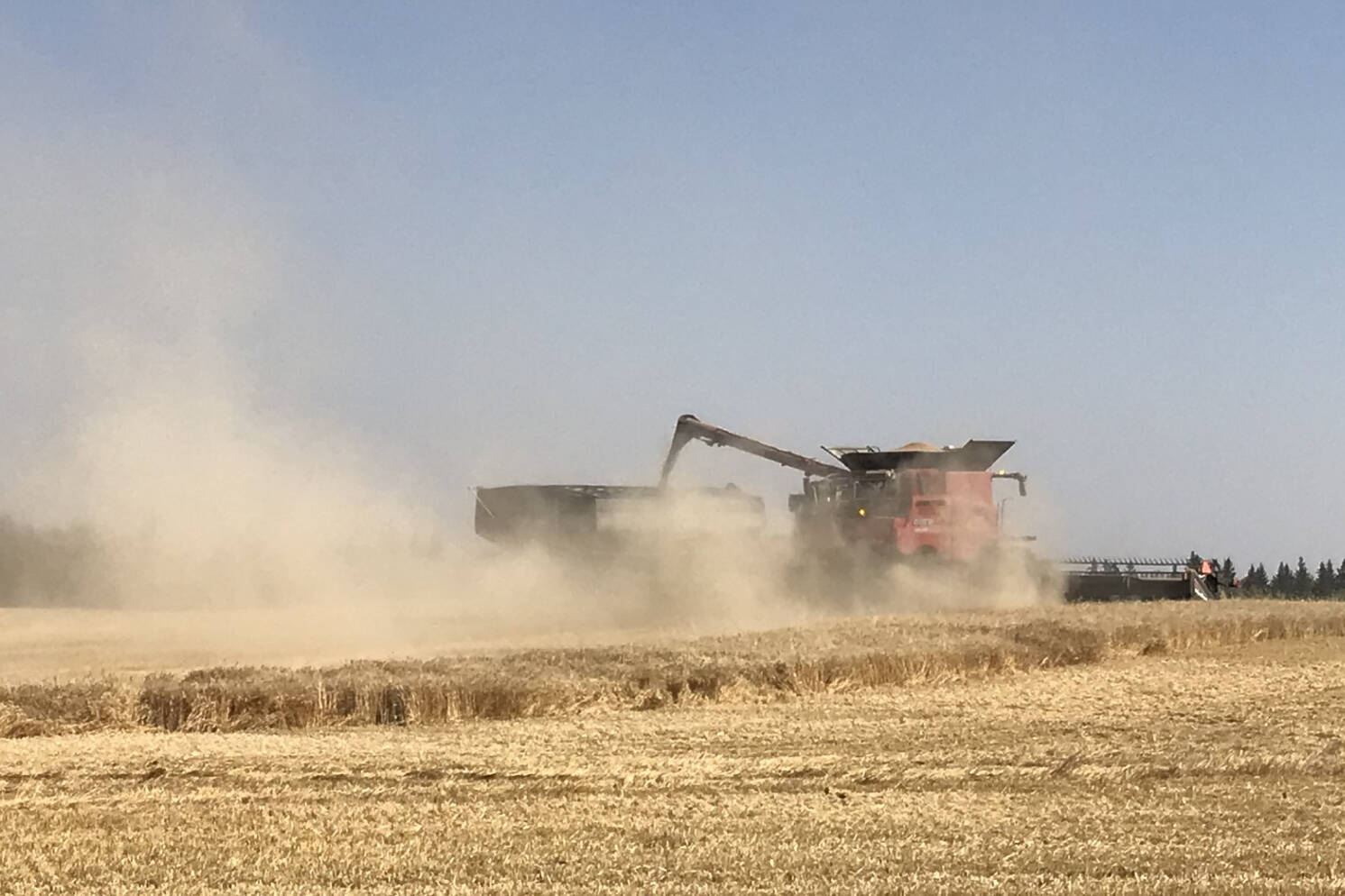 33995843_web1_230923-RDA-Alberta-crop-report-harvest_1