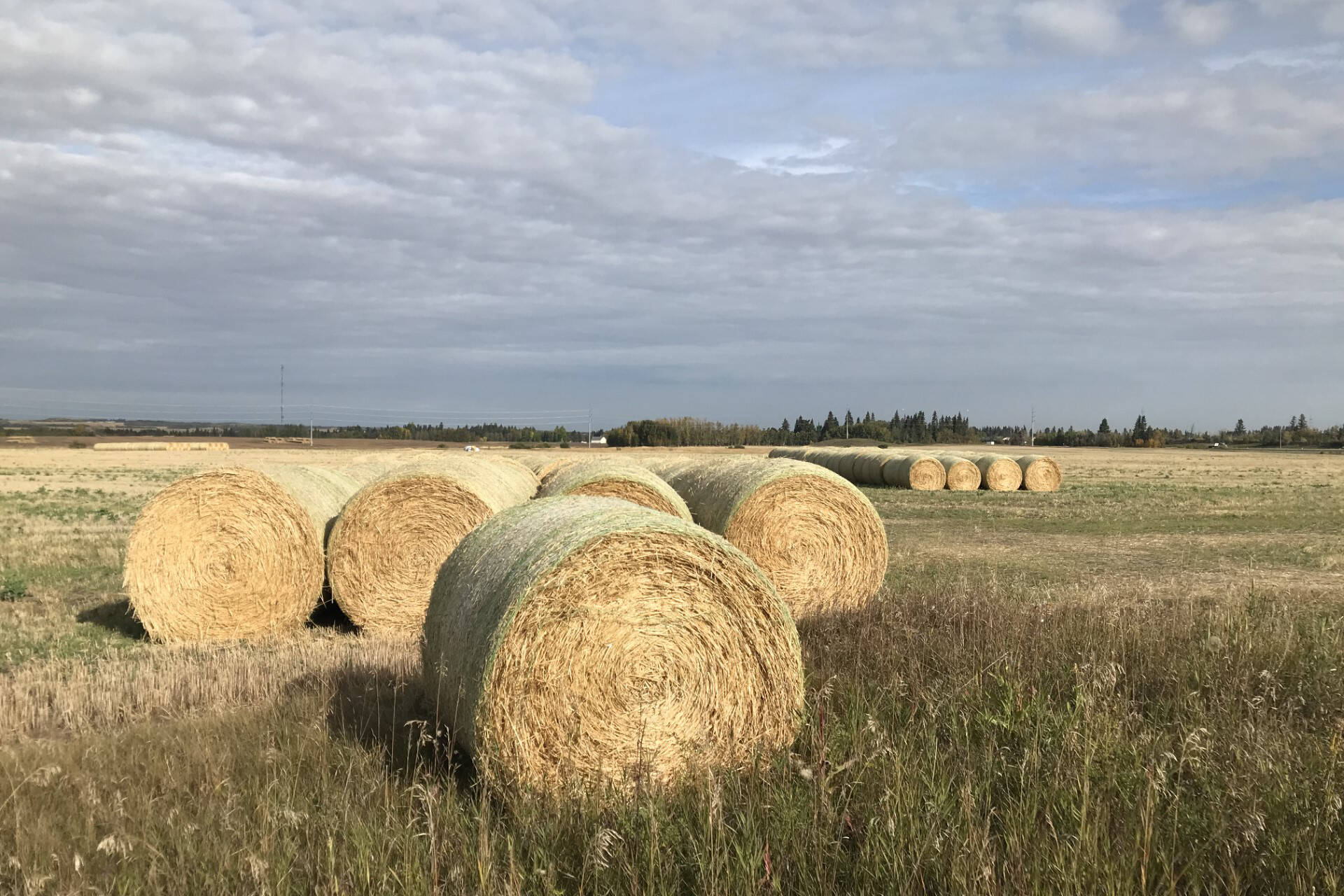33995843_web1_230923-RDA-Alberta-crop-report-harvest_4