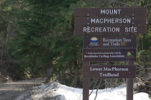 BC Timber Sales scales back logging planned for Revelstoke mountain