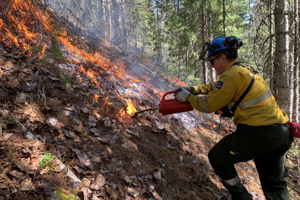 A Parks Canada fire crew member administers a controlled burn on the slopes of Mount Revelstoke National Park on April 18, 2025.