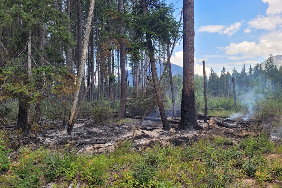 The Hospital Creek wildfire in the north of Golden on Aug. 1, 2025.