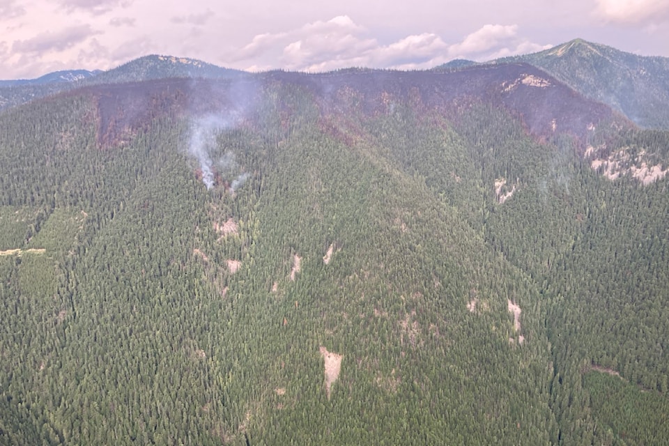 Smoke and scorched forest atop Kuskanax Mountain during the MacLeod Creek wildfire near Nakusp, pictured Saturday, Aug. 2.