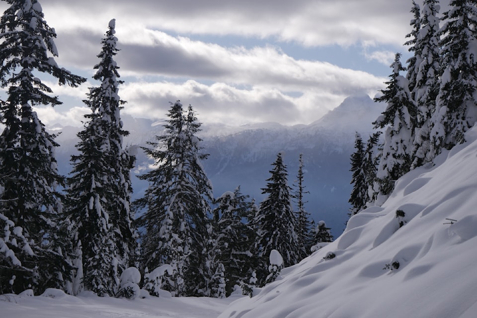 mount-revelstoke-national-park-in-snow