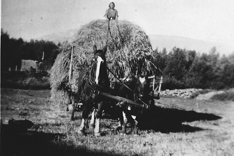 2014-003-6520-winnie-olson-1930s-hauling-hay
