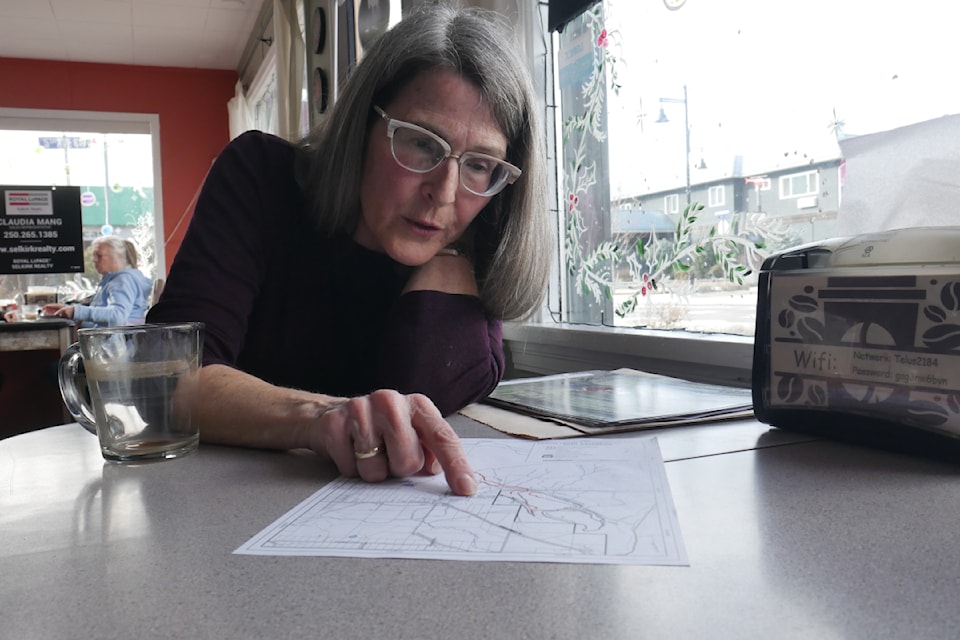 Catherine Newsome, interim president for the Arrow Lakes Cross Country Ski Club, maps out the club's ski trails at What's Brewing On Broadway in Nakusp, pictured Wednesday, March 5.