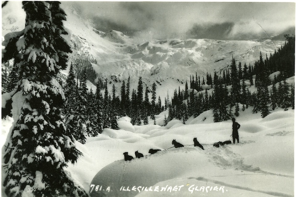 7258-illecillewaet-glacier-with-dog-sled