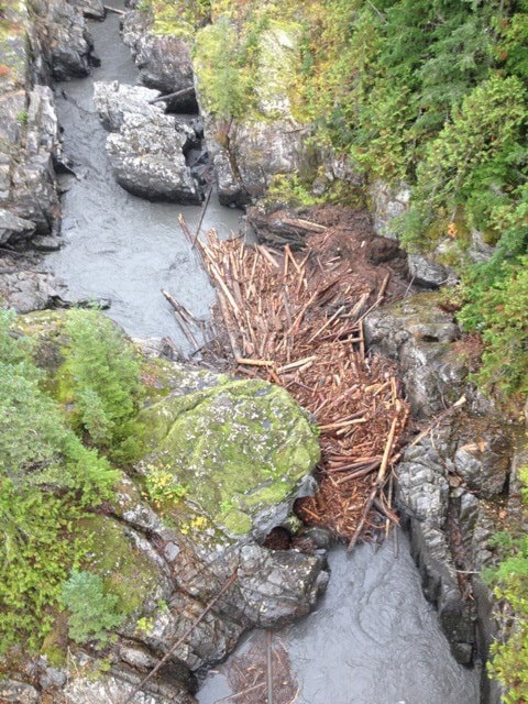 70907revelstokeboxcanyonlogjam-jeffferguson