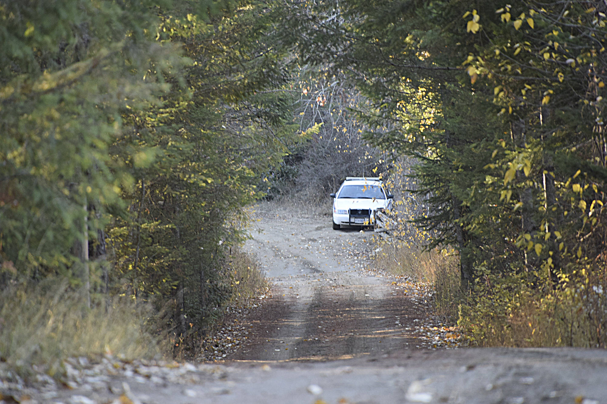 9120638_web1_171101-silver-creek-road-to-bridge-DSC_0664