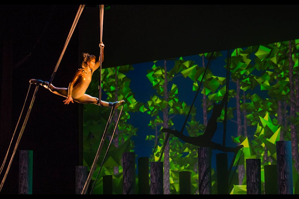 Fireflight combines graceful aerials, choreography, acrobatics, flight, masks, and contemporary circus, to weave together a theatrical story about the power of engagement. It’s a magical adventure of getting involved and taking actions to protect what one holds dear. (Liam Harrap/Revelstoke Review)