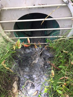 15578764_web1_180912-RTR-sewage-turtle-creek_2