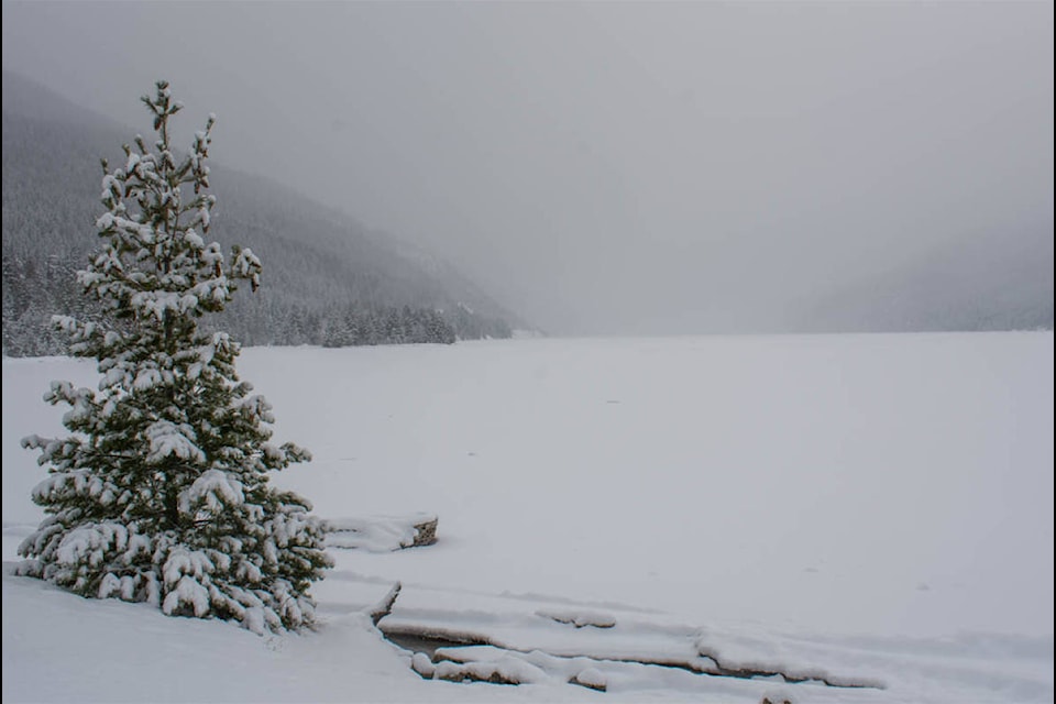 It isn’t often that Lake Revelstoke freezes. (Liam Harrap/Revelstoke Review)
