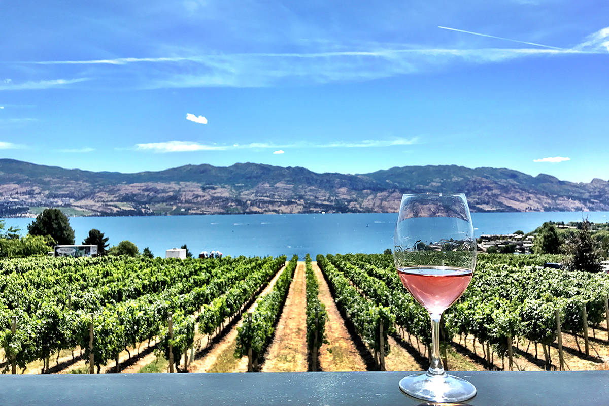 Kelowna Wine Tours Bachelorette