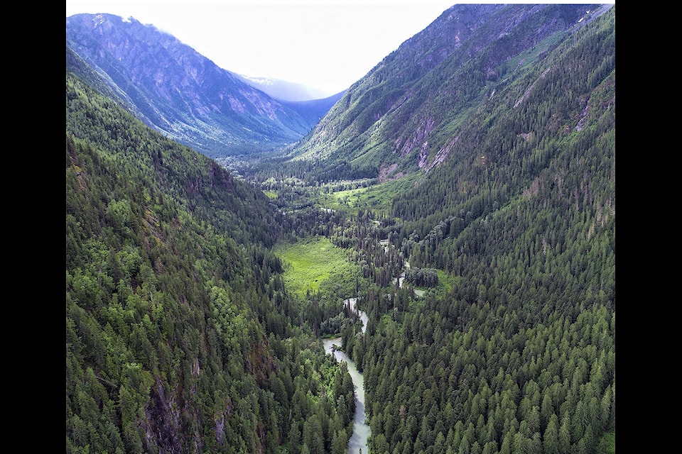 “It’s an unknown wilderness area,” said Amber Peters, biologist with the Valhalla Wilderness Society in New Denver, B.C. The 8,408 hectare proposal of Rainbow-Jordan Wilderness encompasses Frisby Creek and the Rainbow Valley on the west side of Lake Revelstoke. (Submitted)