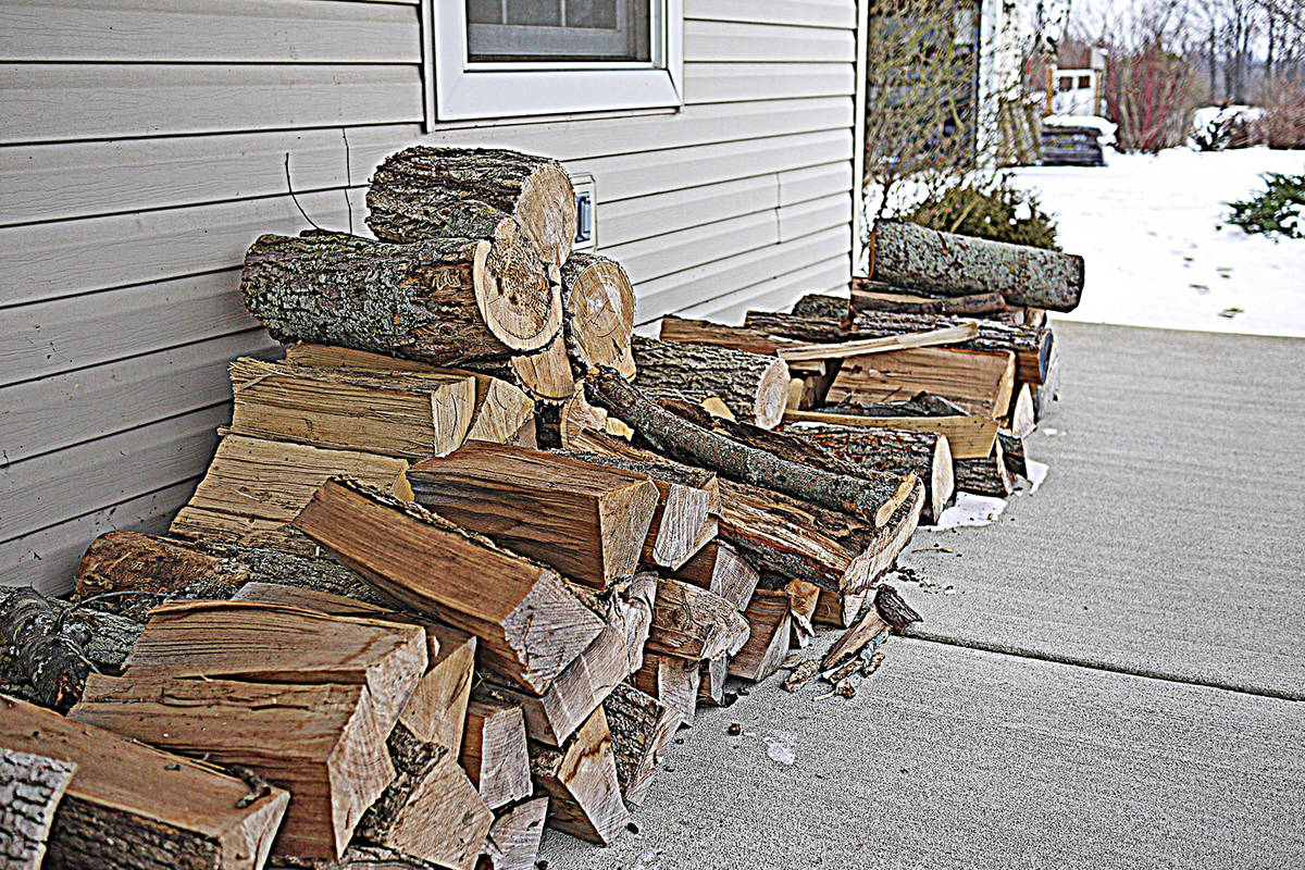 Free permit needed to collect firewood on crown land Revelstoke Review