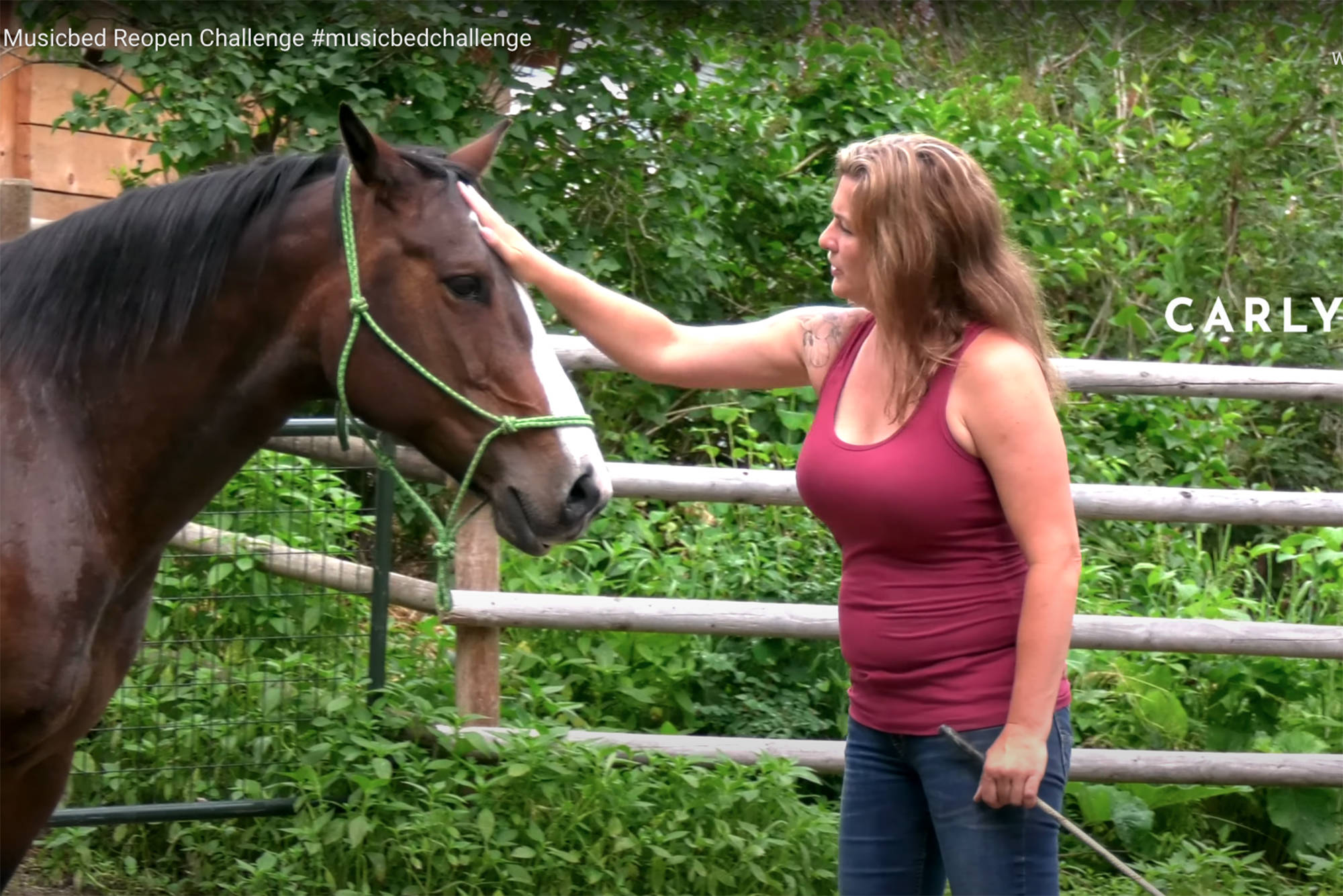 22204449_web1_copy_200724-SAA-horse-rescue-videos-Carly-Erin-Parks_1