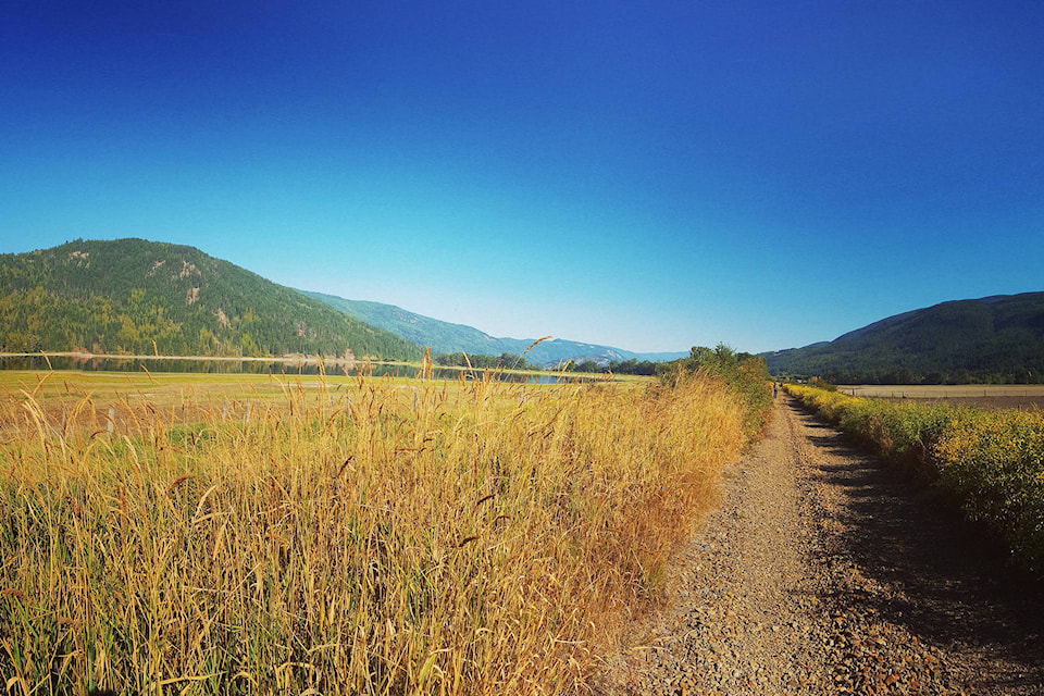 23201056_web1_Shuswap-North-Okanagan-Rail-Trail--Jacob-Brett---2-