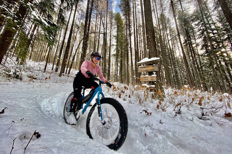 Fat bike trail hotsell