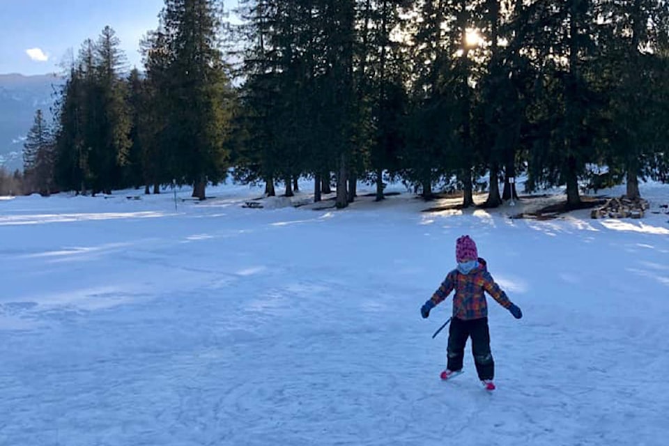 Andrea Leisegang and her family went ice skating at Williamson Lake during the cold snap. (Submitted/Andrea Leisegang)