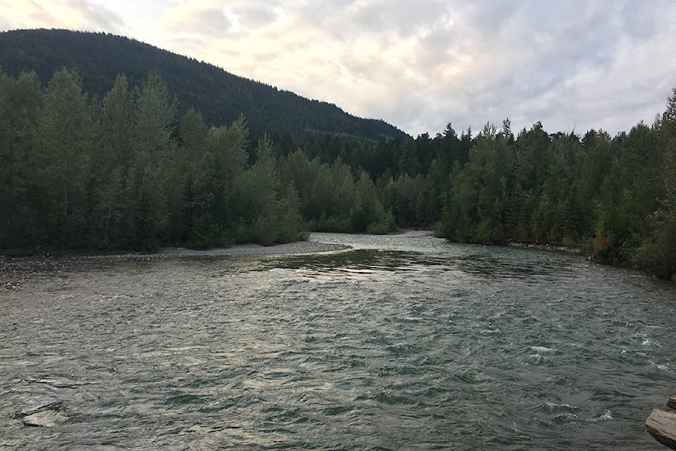 A view of the Jordan River from the trail in the area, during the summer. (Jocelyn Doll/Revelstoke Review)
