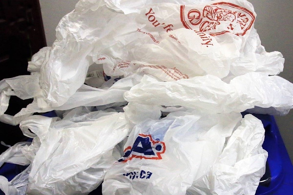 24966782_web1_201231-SUL-PlasticBagBan-bags_1