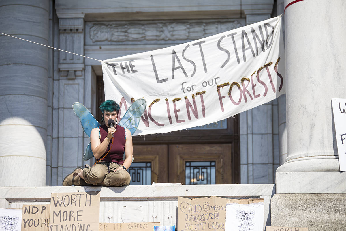 25694092_web1_210708-RTR-protect-old-growth3_1