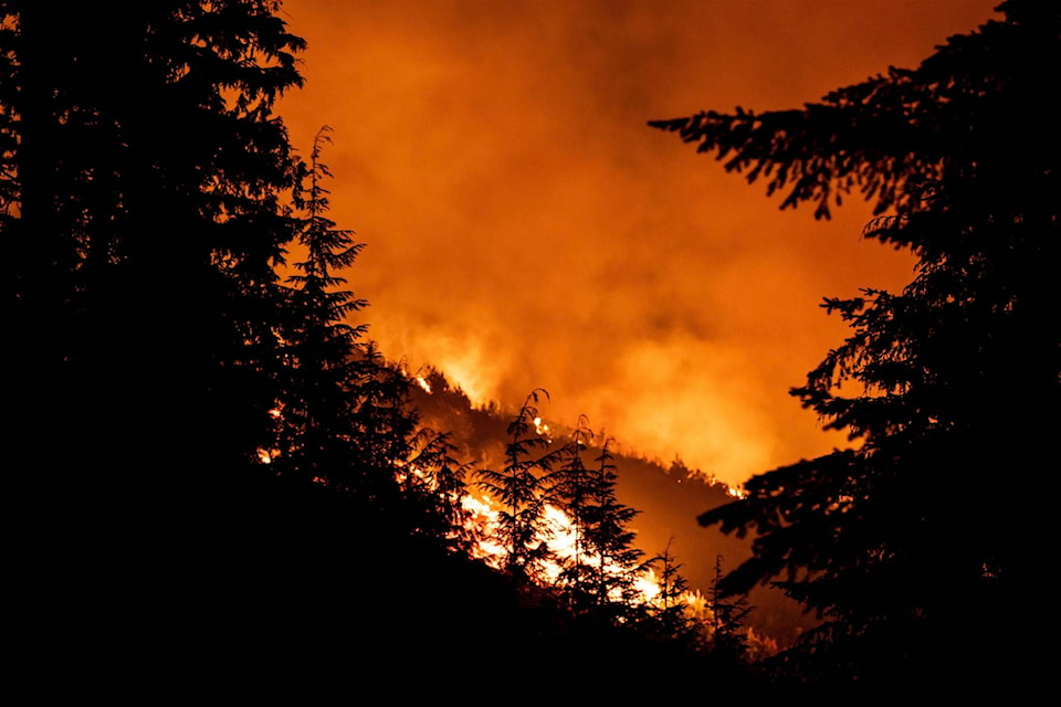 The Wap Creek fire on the evening of July 15. (William Eaton photo)