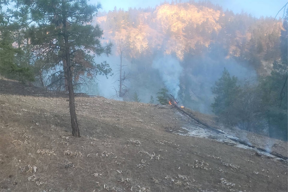 A new fire started above the Sage Mesa neighbourhood in Penticton in the middle of the night Thursday. (Mathieu Mongeau Facebook)