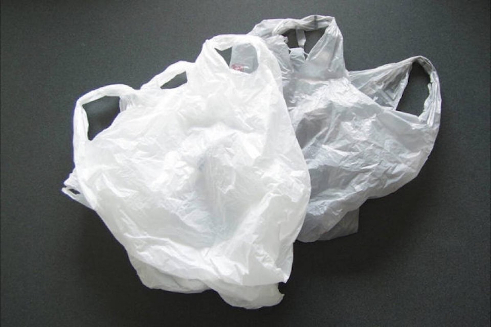 26625756_web1_210805-CCI-plastic-bags-ban-picture_1