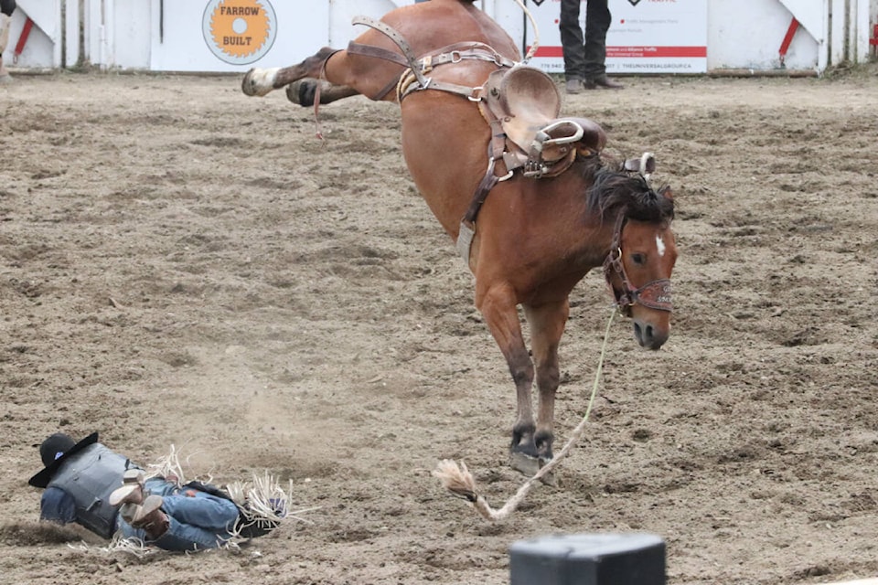 Heck of a way to wrap a career. For the horse. Old Tubs Get Smart bucks off rider Logan Hay of Wildwood, Alta. in the horse’s final ride of a 15-year rodeo career Monday, May 23, at the 102nd Falkland Stampede. Old Tubs Get Smart earned more than $1.5 million during his career. Hay was not injured. (Roger Knox - Morning Star)