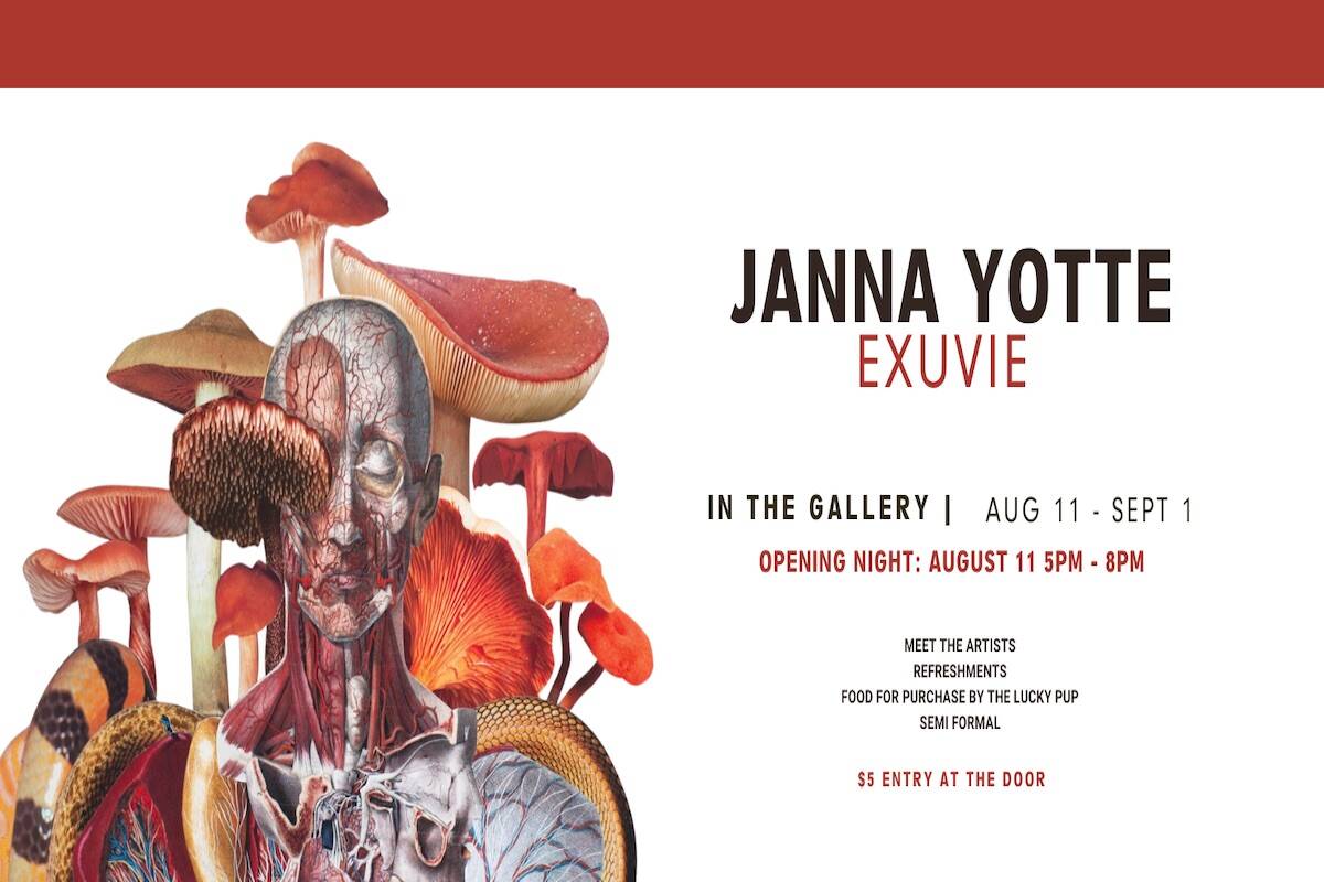 The gallery hosted the first night of their new exhibit on Thursday, Aug. 11. (Revelstoke Visual Arts Centre)