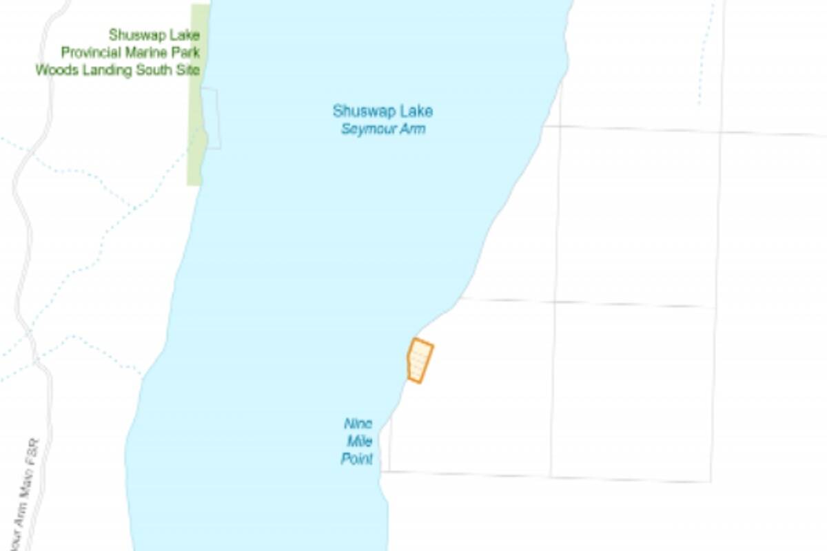 The BC Wildfire map on the morning of Aug. 17, 2022 shows a new wildfire, listed as person-caused, about 15 kilometres north of Anglemont off Shuswap Lake. (BC Wildfire map)