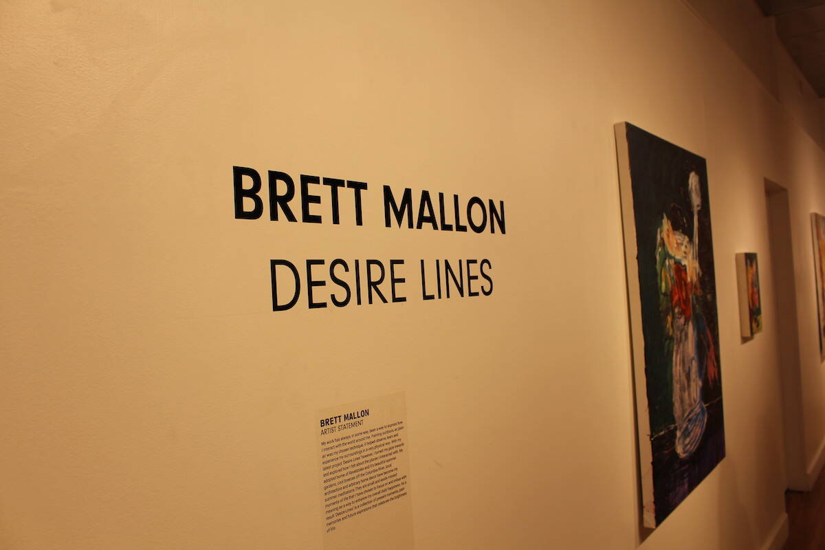 Brett Mallons Desire Lines exhibit is on display at the Revelstoke Visual Arts Centre (Zachary Delaney)