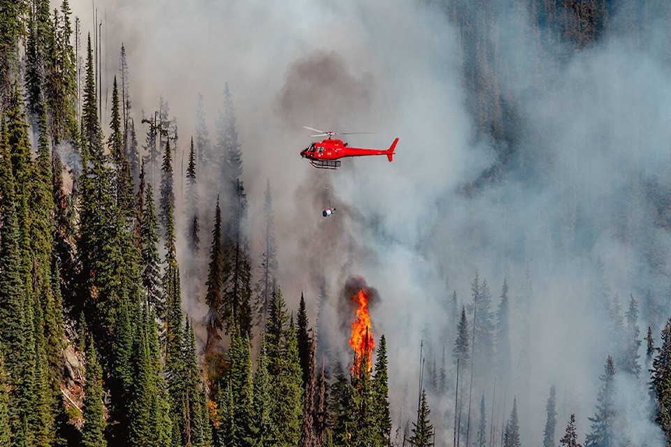 30671581_web1_221020-RTR-PRESCRIBED-FIRE-pic_1