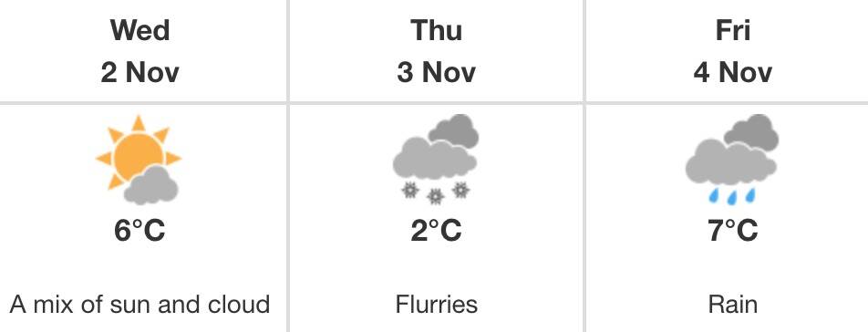 salmon arm