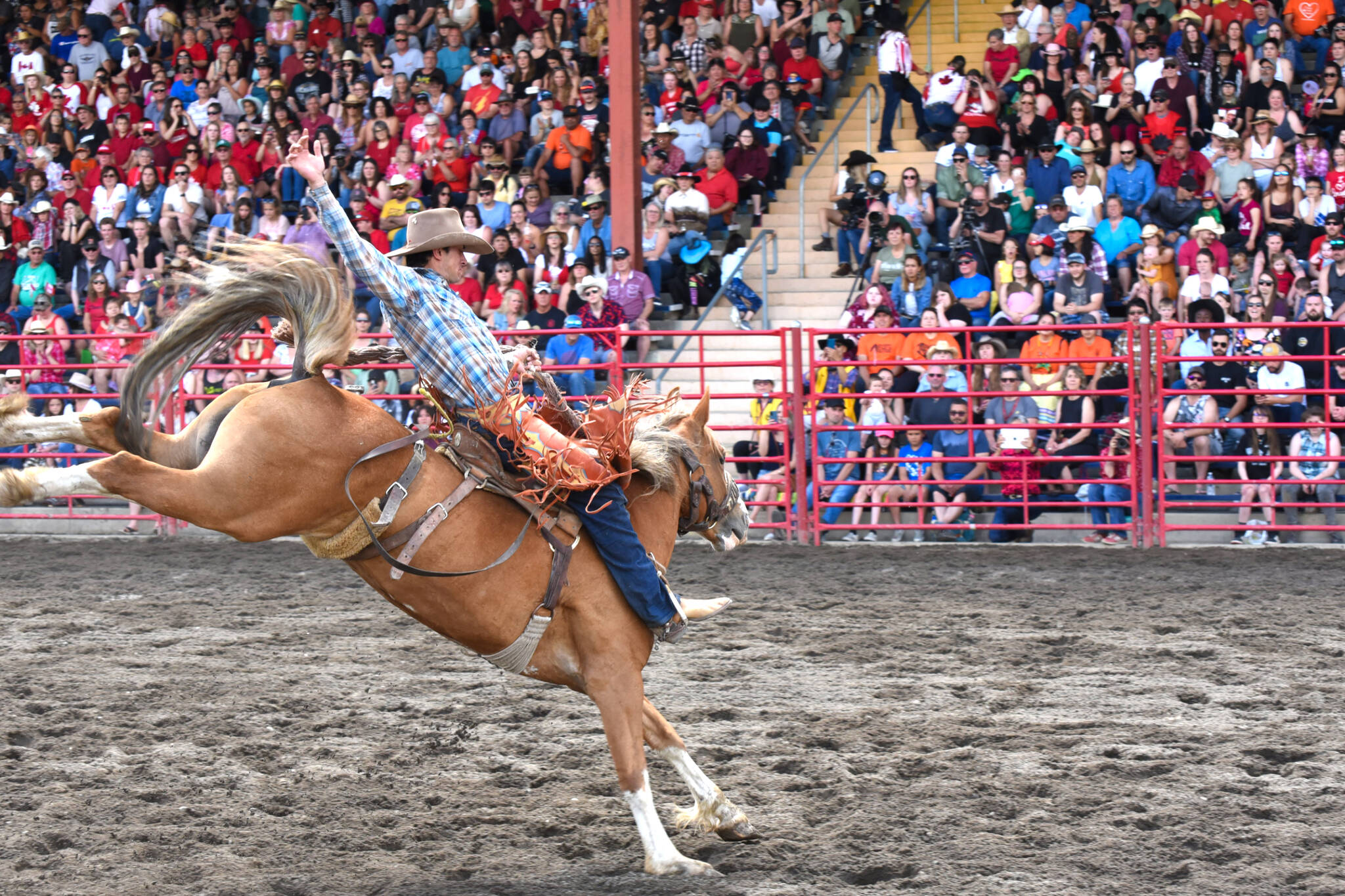 The annual Williams Lake Stampede was back to having a full house after two years of restrictions. (Angie Mindus photo - Williams Lake Tribune)