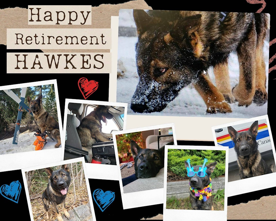 31964245_web1_230302-VMS-police-dog-retiring-2_1