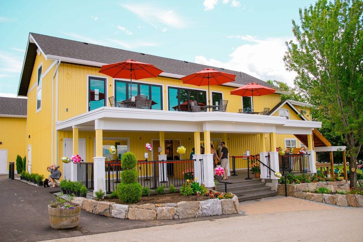 The Vibrant Vine Winery is up for sale. (JaneHoffman.com)