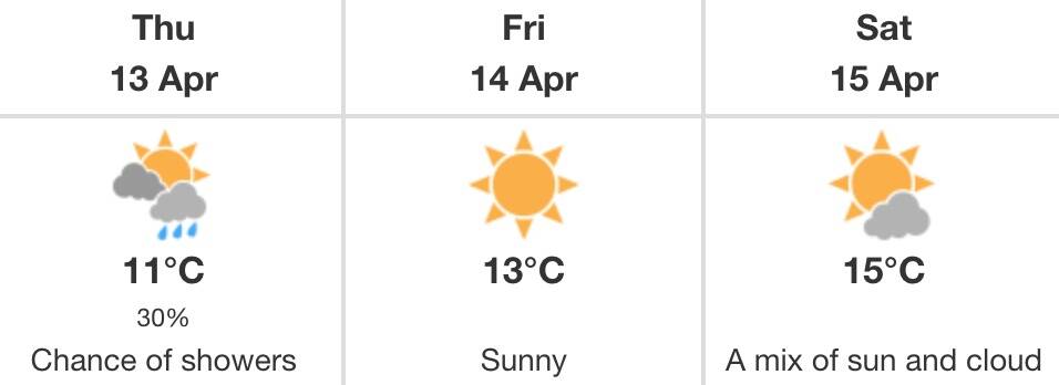 salmon arm
