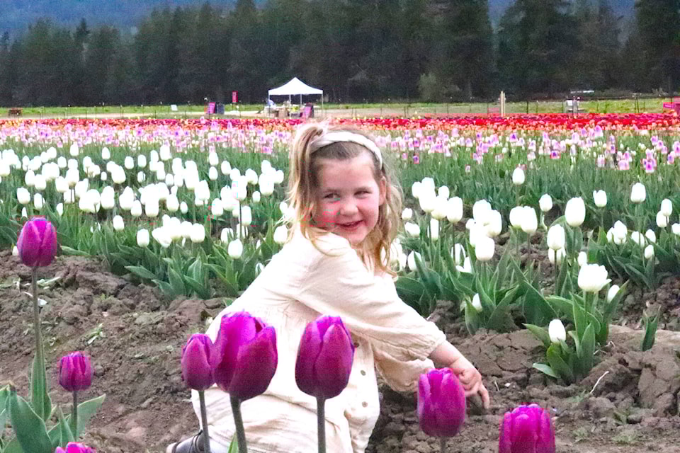 32623209_web1_copy_220526-VMS-tulip-fest-1_4