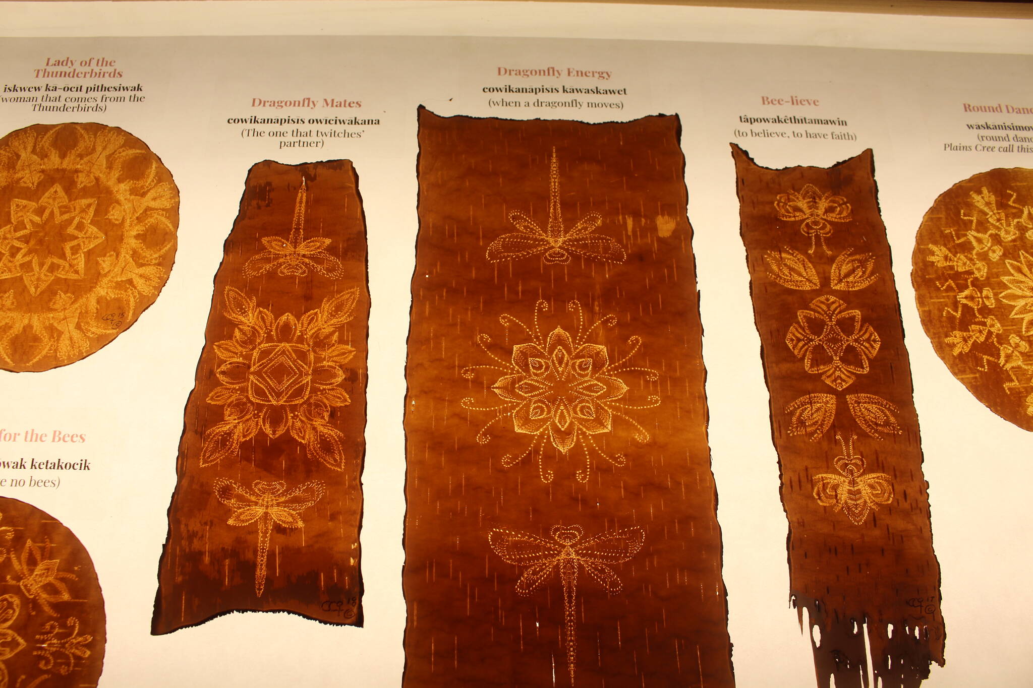 Birch-bark bitten sheets. (Zachary Delaney/Revelstoke Review)