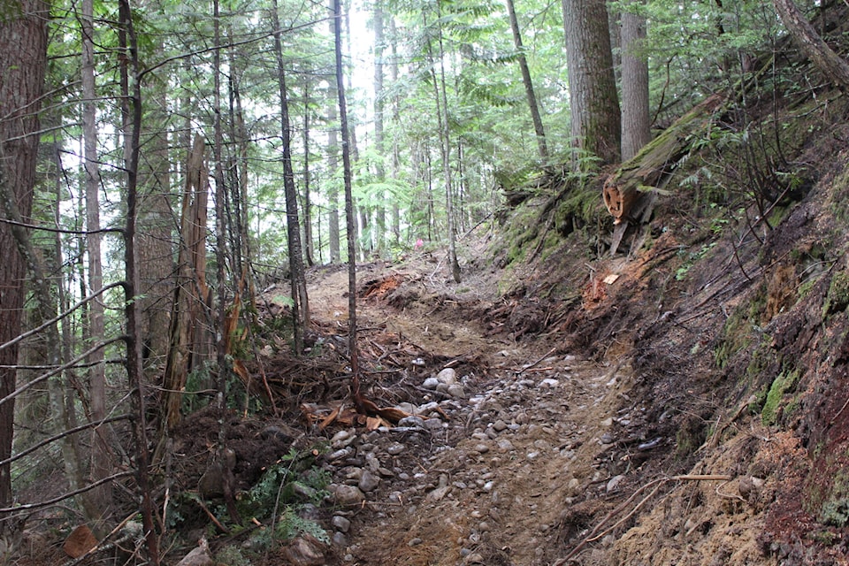 (Zachary Delaney/Revelstoke Review)